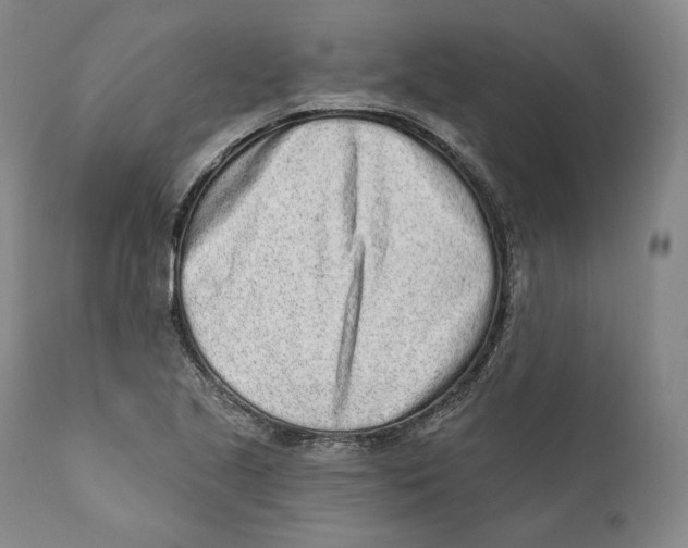 X0000110721221200907101356