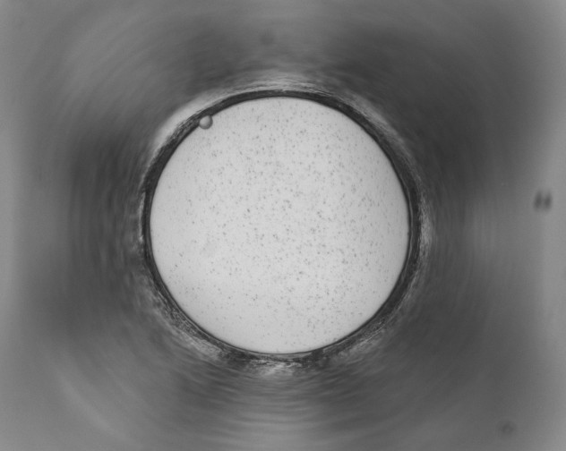 X0000110721222200907101356