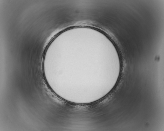 X0000110721224200907101356