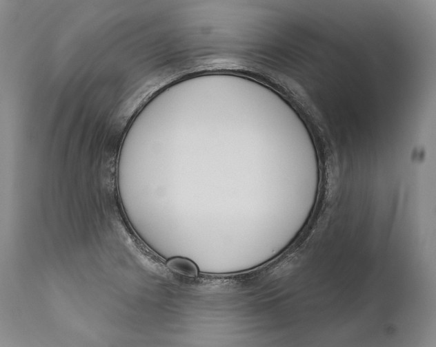 X0000110721225200907101356