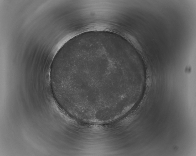 X0000110721226200907101356