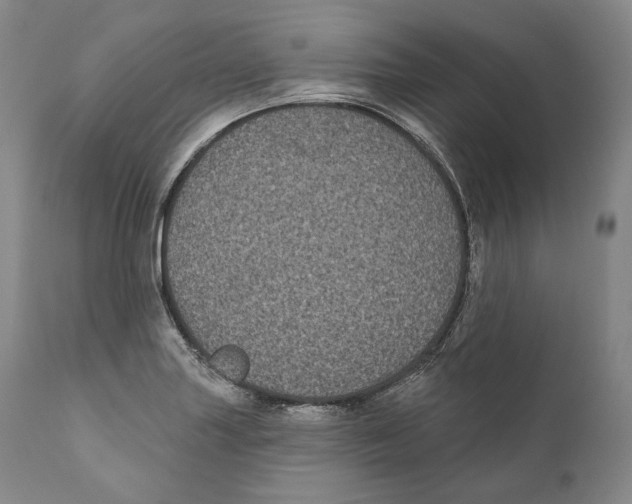 X0000110721227200907101356