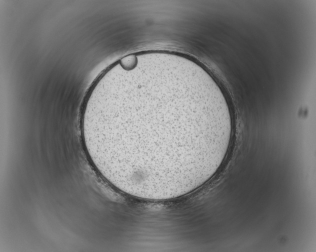 X0000110721230200907101356