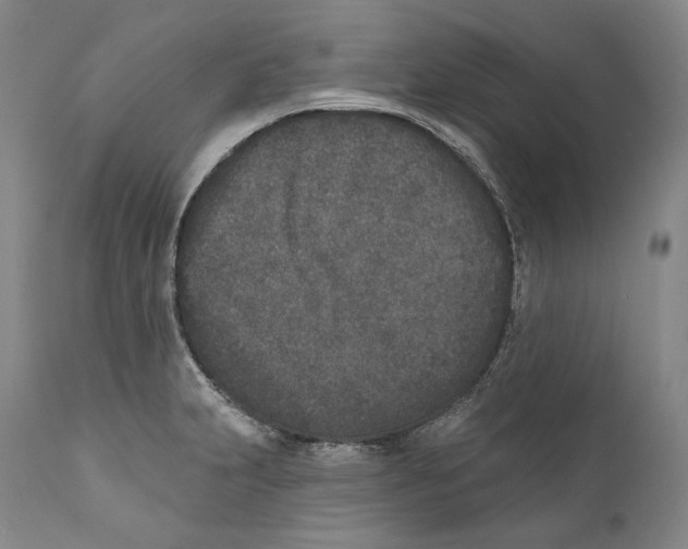 X0000110721231200907101356