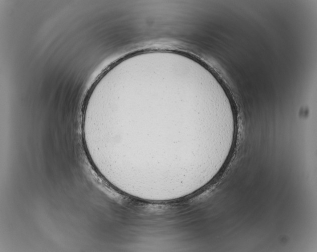 X0000110721232200907101356