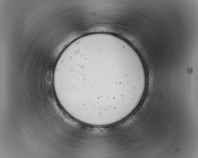 X0000110721233200907101356