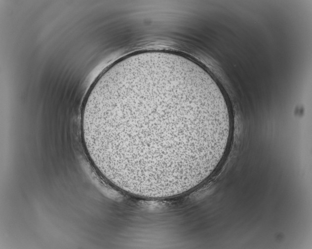 X0000110721234200907101356