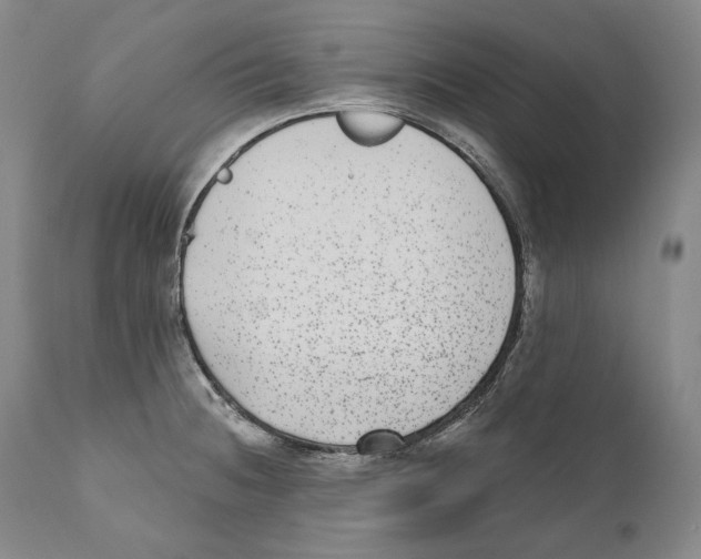 X0000110721236200907101356