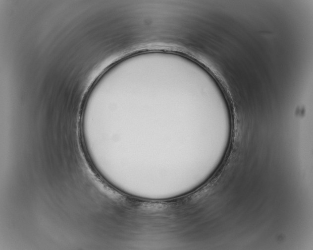 X0000110721237200907101356