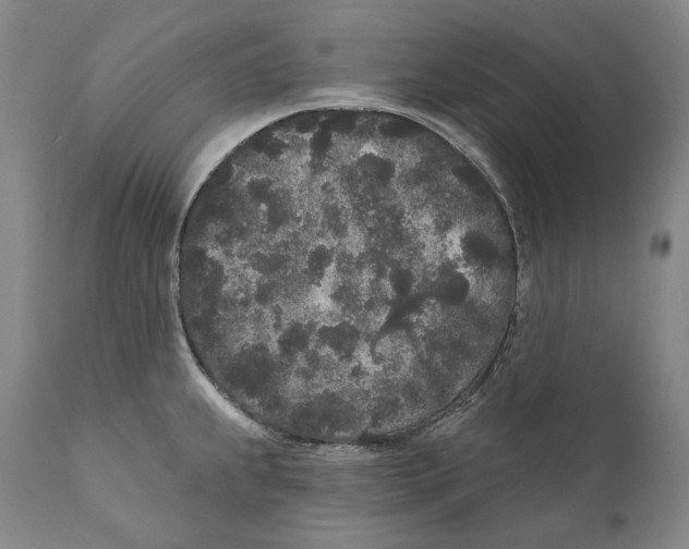 X0000110721239200907101356