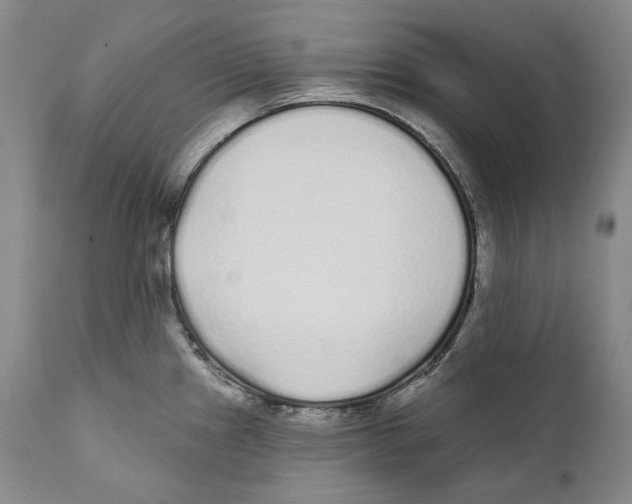 X0000110721241200907101356