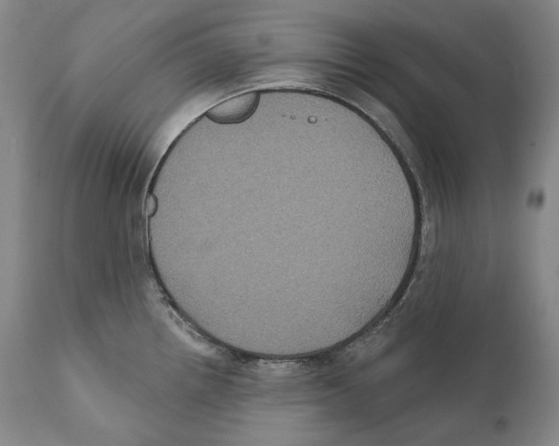 X0000110721242200907101356