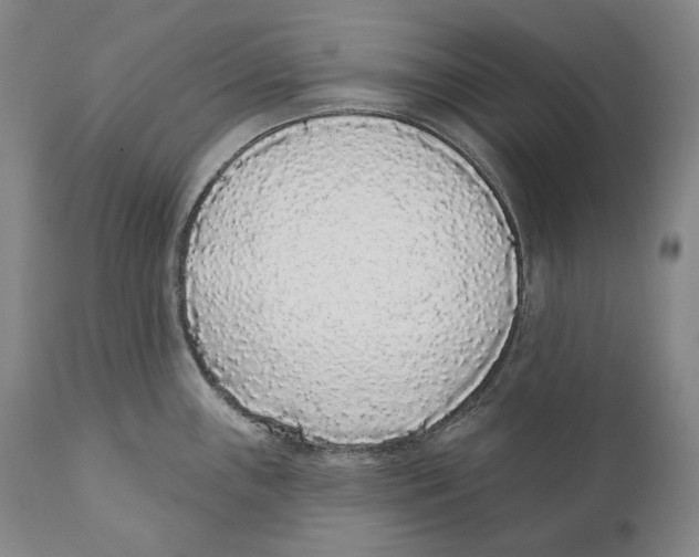 X0000110721243200907101356