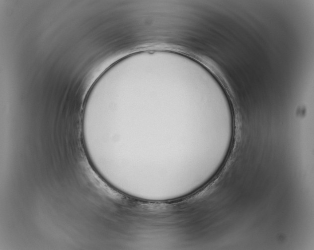 X0000110721244200907101356