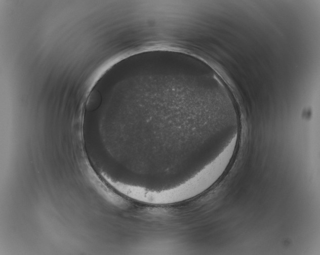 X0000110721246200907101356