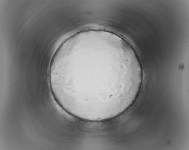 X0000110721247200907101356