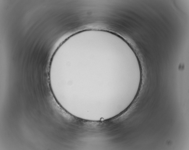 X0000110721248200907101356