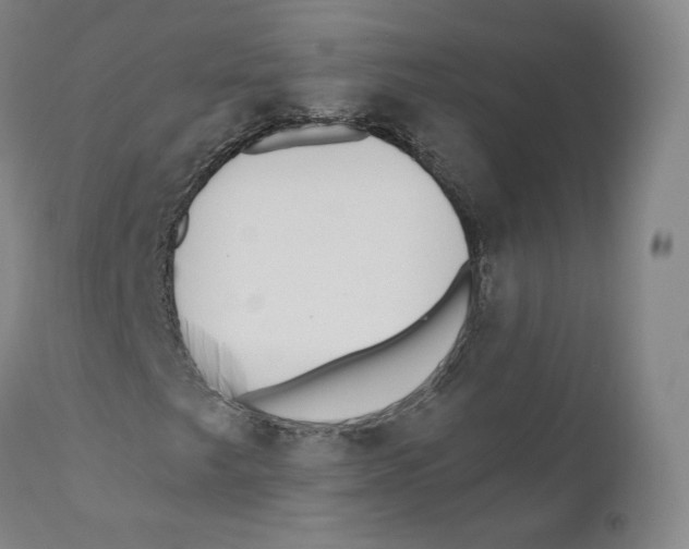 X0000110721249200907101355