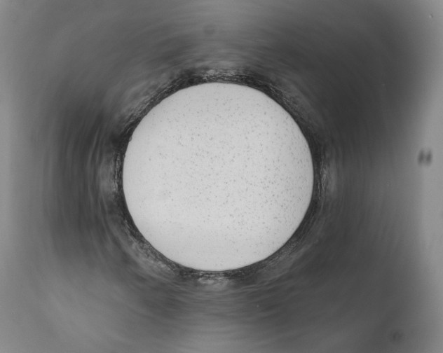 X0000110721250200907101355