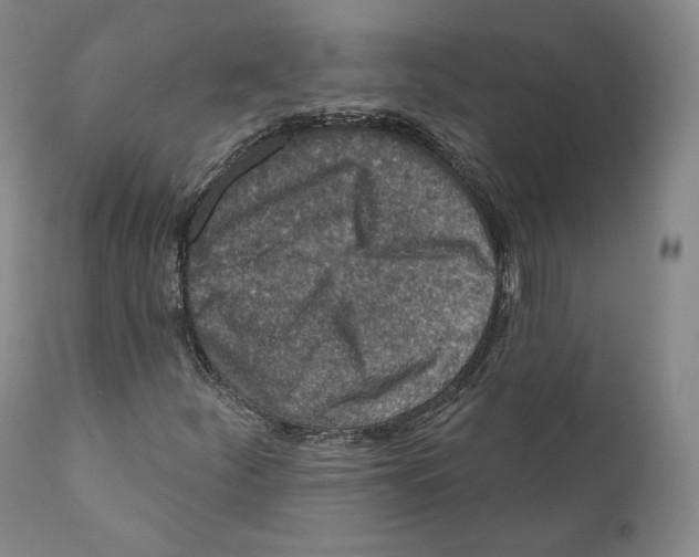 X0000110721252200907101355