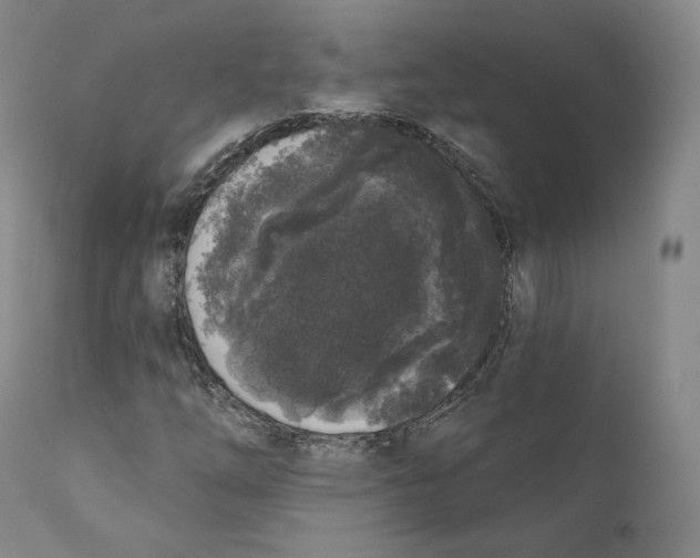 X0000110721254200907101355