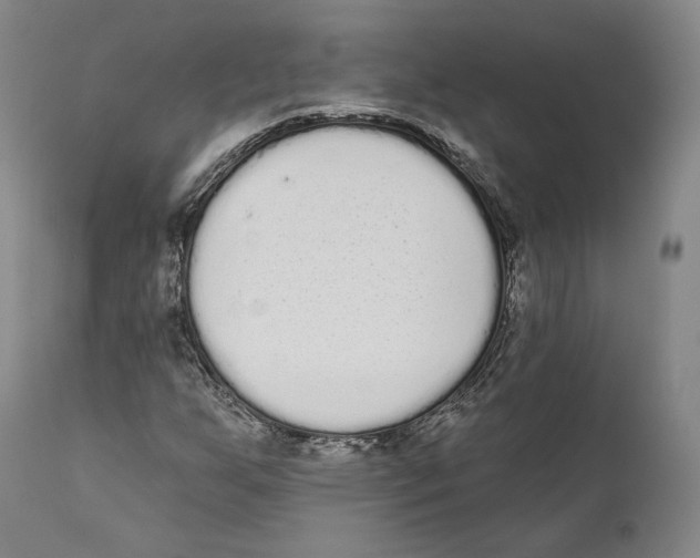 X0000110721255200907101355