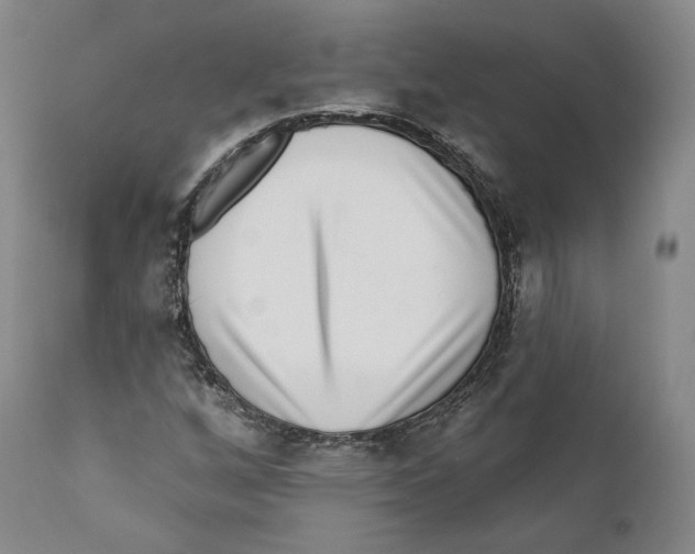 X0000110721256200907101355