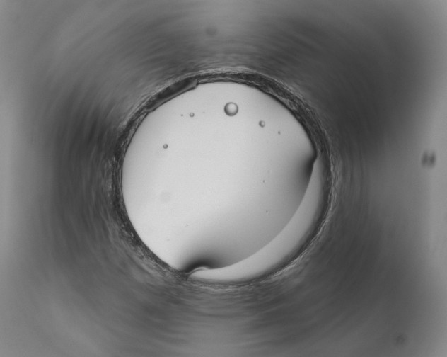 X0000110721257200907101355