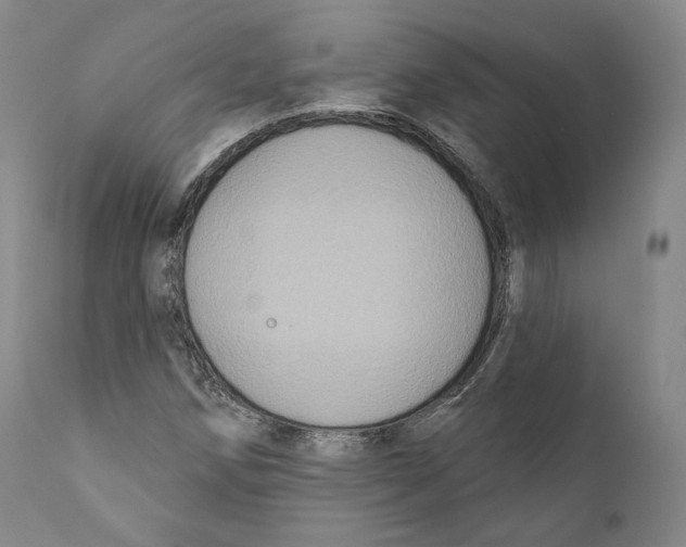 X0000110721258200907101355