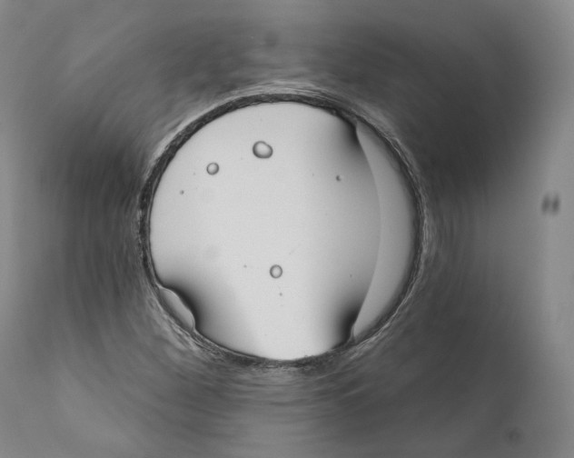 X0000110721260200907101355