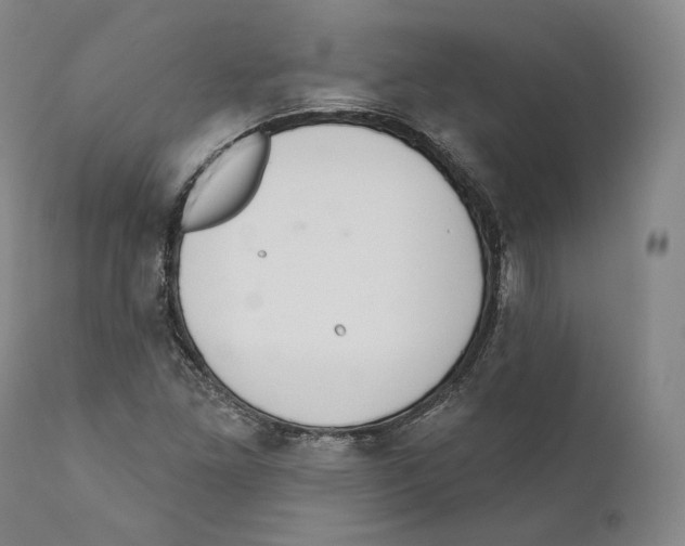 X0000110721261200907101355