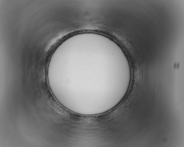 X0000110721262200907101355