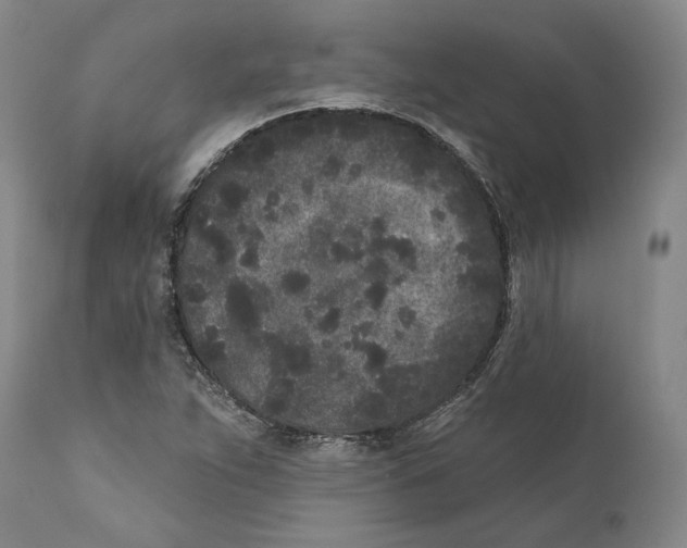 X0000110721263200907101355