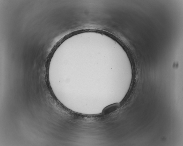 X0000110721264200907101355