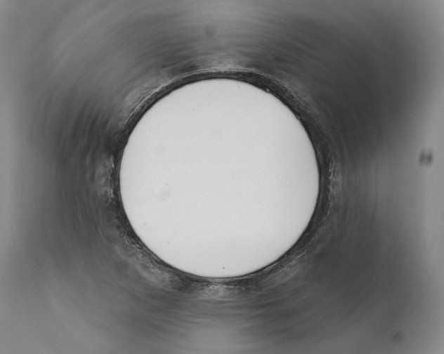 X0000110721265200907101355