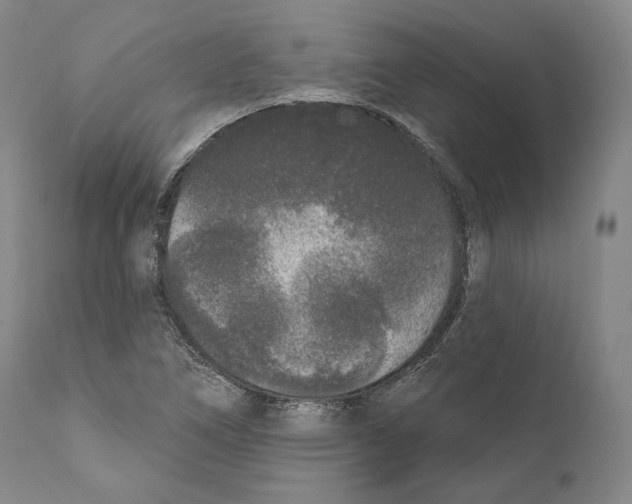 X0000110721266200907101355