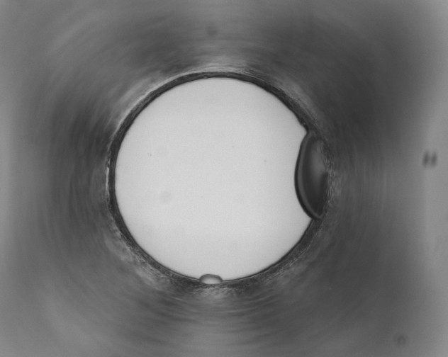 X0000110721268200907101355