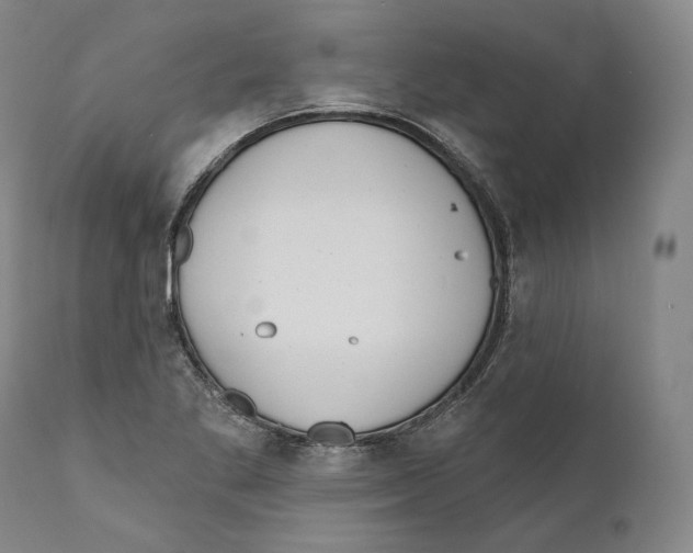 X0000110721269200907101355