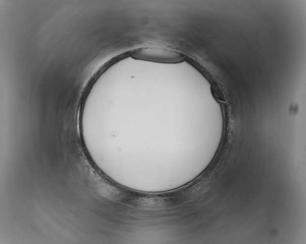 X0000110721272200907101355