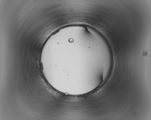 X0000110721273200907101355