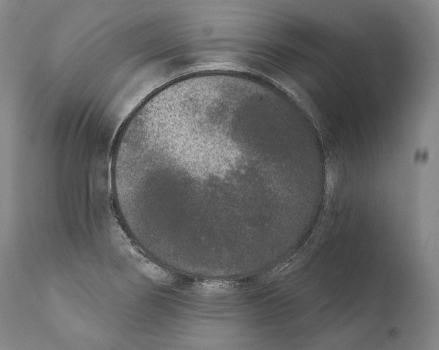 X0000110721274200907101355