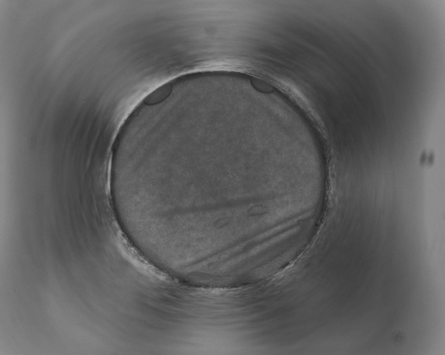 X0000110721276200907101355