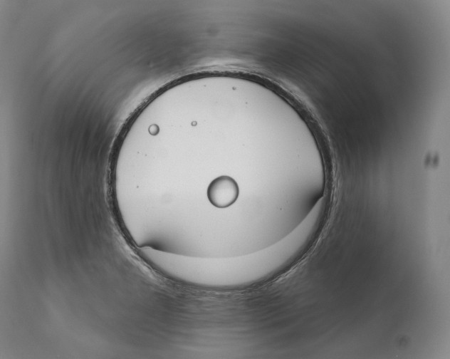 X0000110721277200907101355