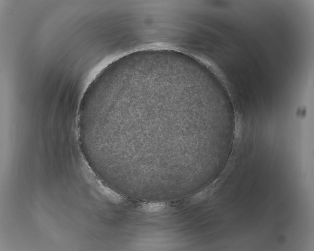 X0000110721278200907101355