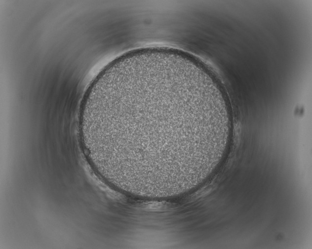 X0000110721279200907101355