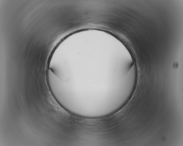 X0000110721280200907101355