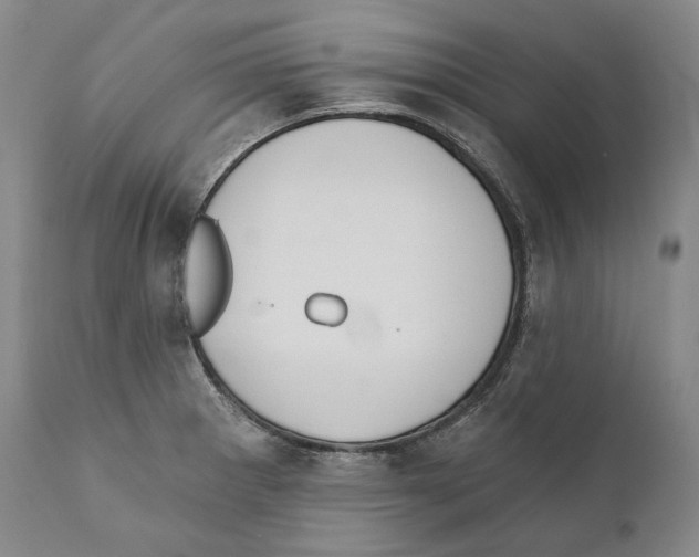 X0000110721281200907101355