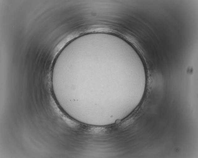 X0000110721282200907101355