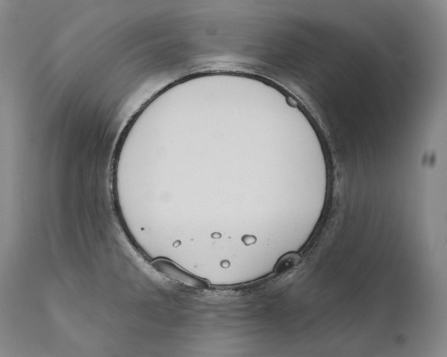 X0000110721285200907101355