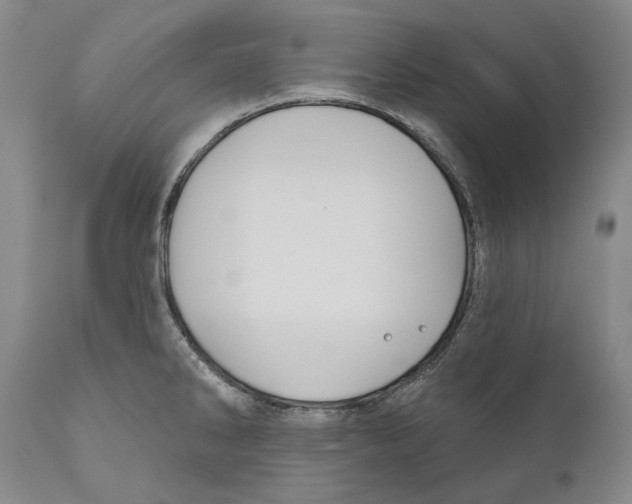 X0000110721286200907101355